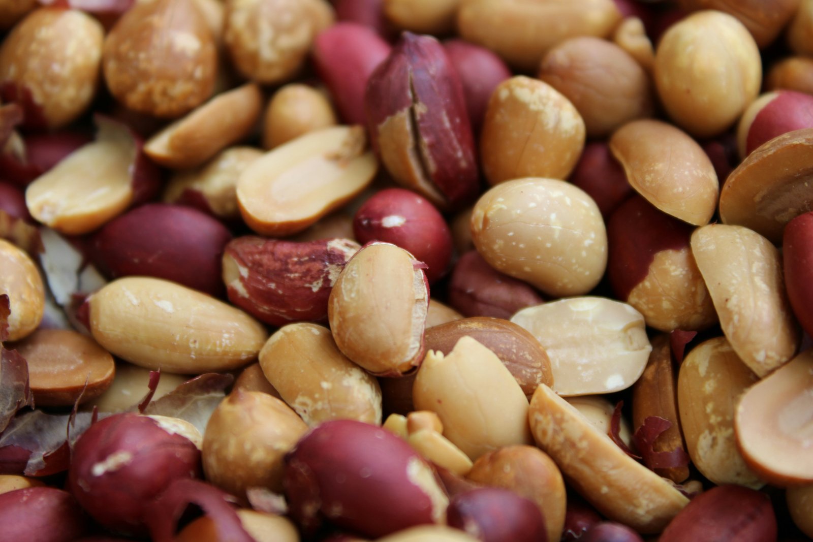 Peanut Harvesting
